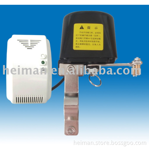 Gas and CO detector